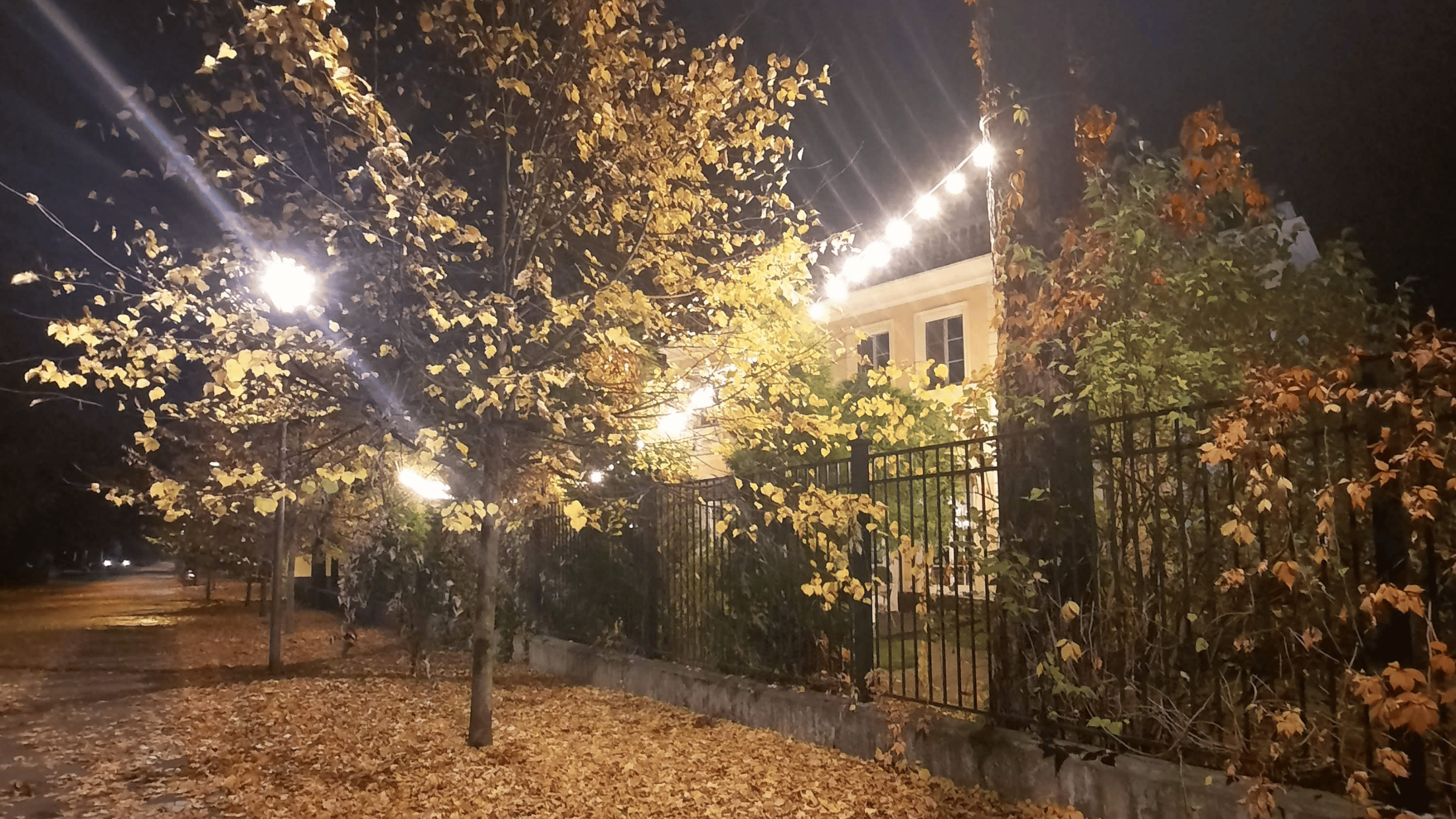 FRIGA z Konstancina. O luksusie, który jest oczywistością